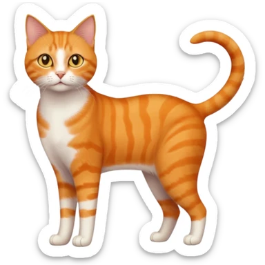 full body orange domestic shorthair slim cat with yellow/orange eyes  sticker