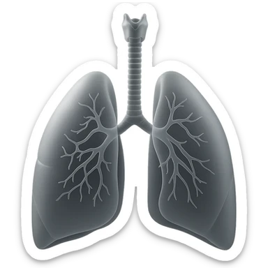 Create an educational and clean image of the human respiratory system showing the trachea, bronchi, and both lungs with a translucent, frosted glass effect in matte glass style, inspired by the reference image. sticker
