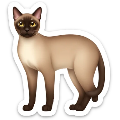 dark brown tonkinese Cat Full Body sticker