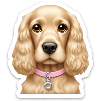 Blond cocker spaniel wearing two light pink sleighbell sticker