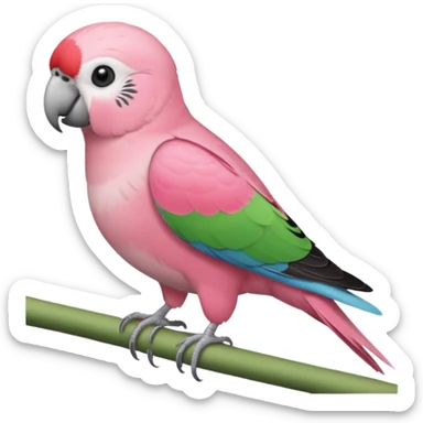 A bourkes parakeet sticker