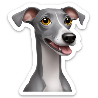 Grey Italian greyhound with a sock in a mouth sticker