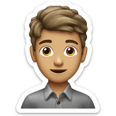 niño de 13 años con pelo cafe y camisa gris y hojos de color cafe sticker