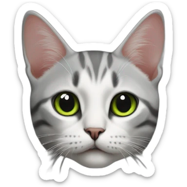 Cat the color of the Palestinian flag sticker