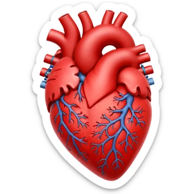 heart human organ sticker