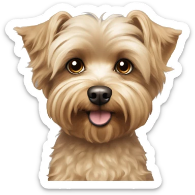 yorkie bichon mix. dog with light tan curly fur, long ears down. dark brown eyes, looks sadish. sticker