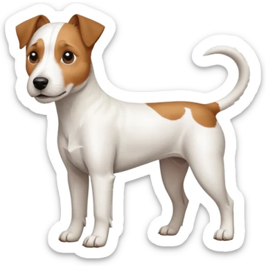 a full body large white parson russell looking dog the size of a kelpie with light brown ears and a light brown patch on one eye and a large snout sticker