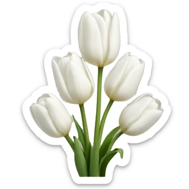 White tulips sticker