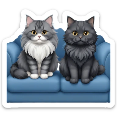 A large black smoke Maine Coon cat with long grey ear tufts and a fluffy grey ruff, sitting next to a chubby British Shorthair cat in blue color with plush fur, both sitting comfortably on a sofa. Beautiful room background with flowers and soft lighting. Transparent background. sticker