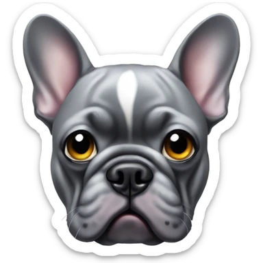 grey french bulldog with only a left eyeball sticker