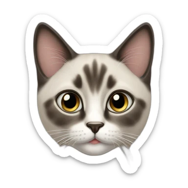 Chat siamois sticker