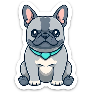 Grey French bulldog with turquoise collar sitting facing forward sticker