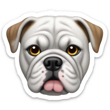 An English bulldog with a gray coat, gray patch over one eye, rest of his face white coat sticker