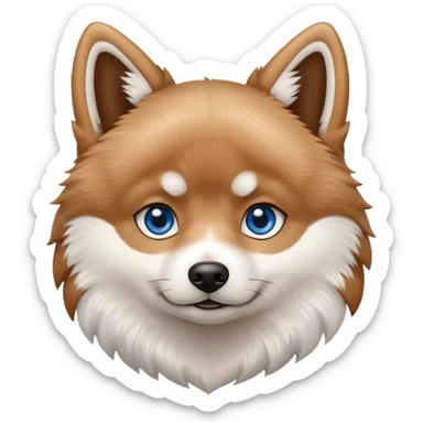A Brown, light tan and white pomsky with one brown eye and one blue eye. sticker