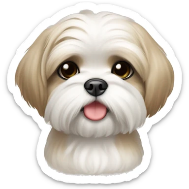 white and beige shih tzu maltese puppy with upright pointy ears sticker