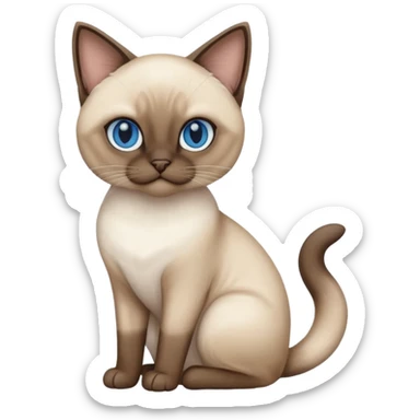 
Siamese cat sticker