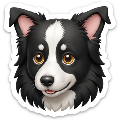 border collie preto e branco fotografo 
 sticker