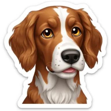 Setter angla sticker