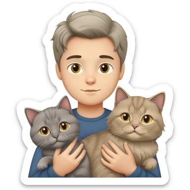 boy holding a grey longhair cat and a British longhair golden cat sticker