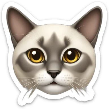 chat siamois sticker