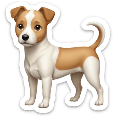 a full body facing front on of a buff white beagle cross jack russell terrier looking dog the size of a kelpie with light brown long ears resting on its face and a light brown patch above one eye and a large snout. the rest of the dog is completely white.  sticker