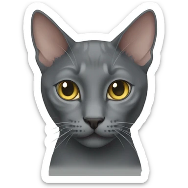Korat cat sticker