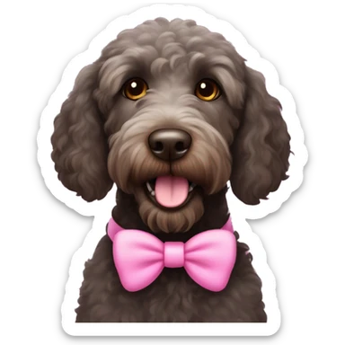 Black labradoodle female dog brown eyes with pink bows on her ears and pink collar on with the name Bonnie sticker