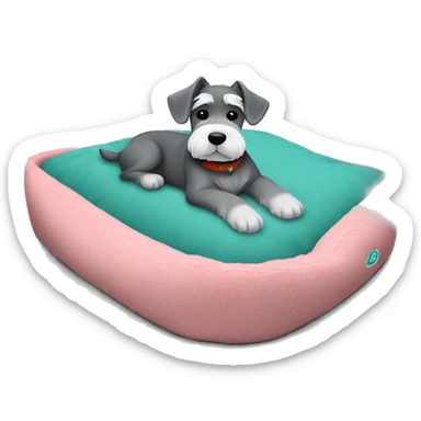 Grey and white mini schnauzer full body asleep in teal dog bed      sticker