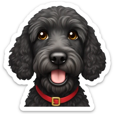 dark black labradoodle with brown eyes with a santa hat sticker
