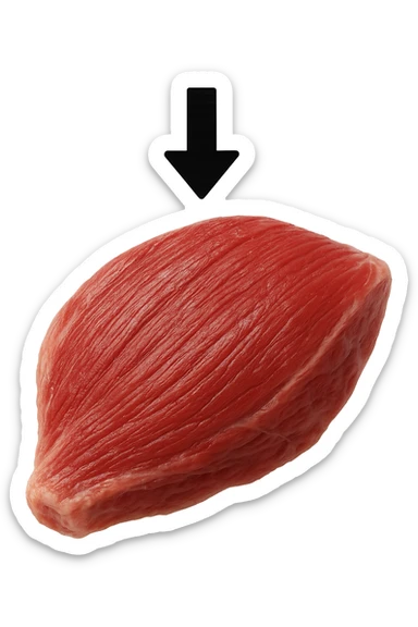 porzione di tessuto muscolare umano iperrealistico con freccia giù sticker