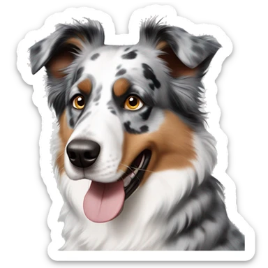 australian shepard dog blue merle with one blue and and one brown eye with gray fur around his eyes and brown till the fur around his nose which is white sticker
