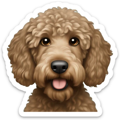 Light brown with little dark brown Labradoodle wearing a Philadelphia Eagles jersey sticker