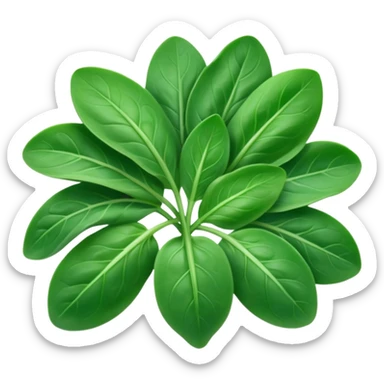 small handful of fresh baby spinach leaves, vibrant green color, smooth oval shapes, delicate veins, slight natural curl, soft slightly glossy surface, tender and fresh, no bowl, no water droplets, no packaging, soft lighting, subtle shadows, emoji scale sticker