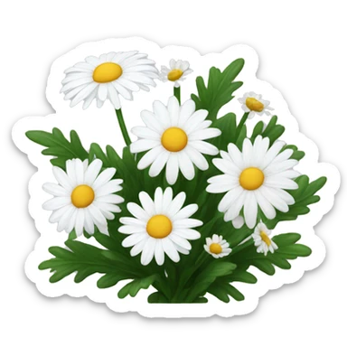 White daisies and chrysanthemums  sticker