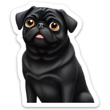 Black pug with the Golden Gate Bridge, San Francisco sticker