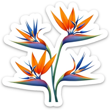 Birds of paradise flower  sticker