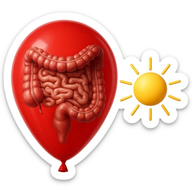 intestino umano anatomico chiuso in un palloncino rosso che simboleggia gonfiore, accanto un simbolo di sole che simboleggia "gonfiori di mattina", iperrealistico 4k sticker