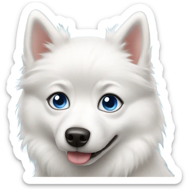 White pomsky dog with blue eyes sticker