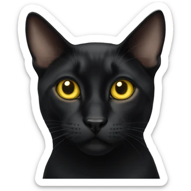 Bombay cat with yellow eyes sticker