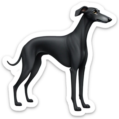 Black greyhound sticker
