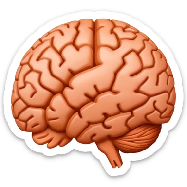 Terracotta anatomy brain sticker