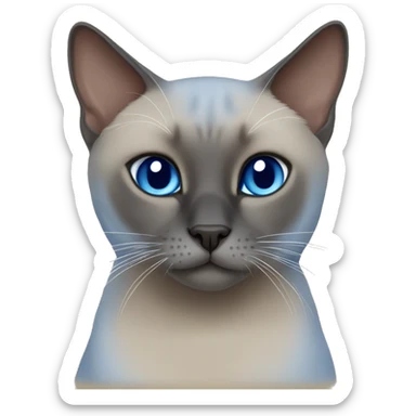 Blue mink tonkinese cat sticker