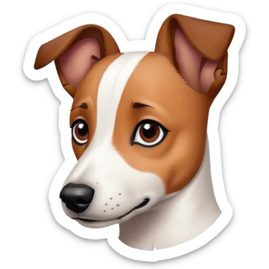 Jack Russel avec une tache marron et noir sur le coin de la tête  sticker