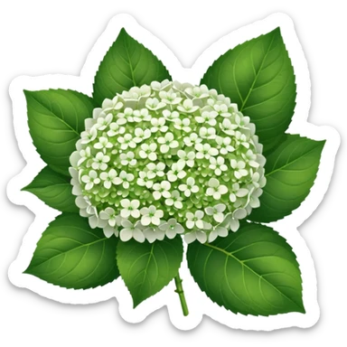 22 White Hortens sticker