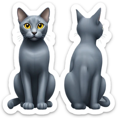 russian blue medium sized cat with yellow eyes standing on 4 feet sticker