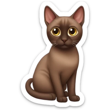 chocolate tonkinese cat sticker