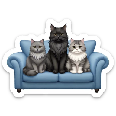 A large black smoke Maine Coon cat with long grey ear tufts and a fluffy grey ruff, sitting next to a chubby British Shorthair cat in blue color with plush fur, both sitting comfortably on a sofa. Beautiful room background with flowers and soft lighting. Transparent background. sticker