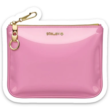 pink stoney clover lane rectangle pouch with shiny gold zipper and a circle zipper puller = pouch should be solid sticker