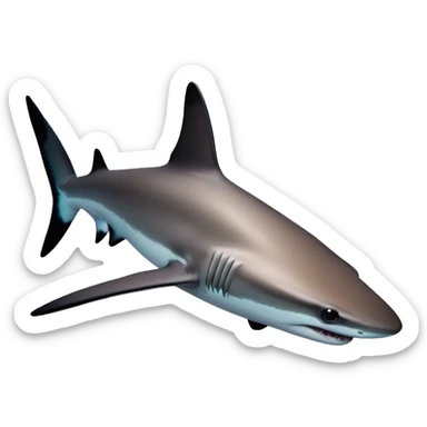 Black tip reef shark sticker