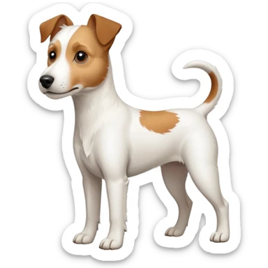 a full body large white parson russell terrier looking dog the size of a kelpie with light brown long ears and a light brown patch on one eye and a large snout sticker